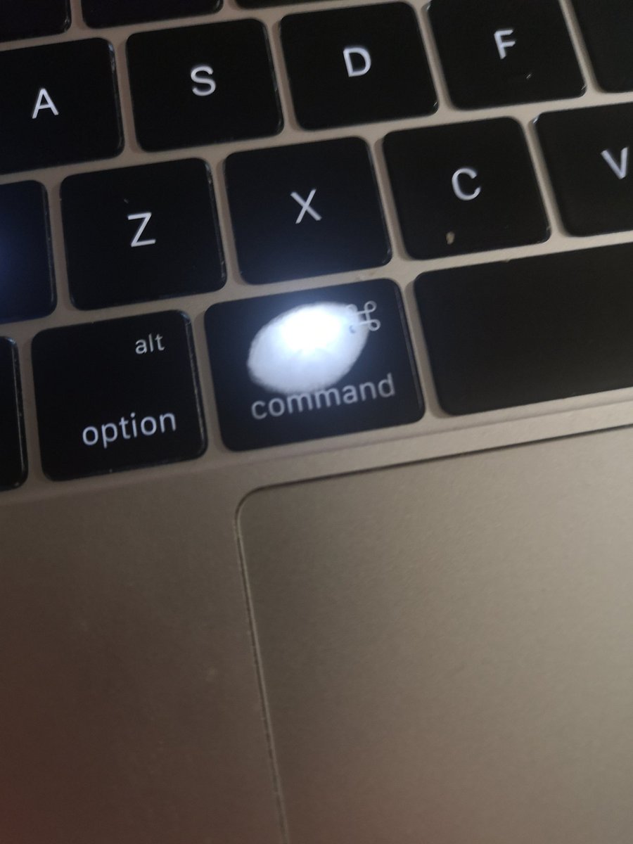 Mitch Ryan tweet media