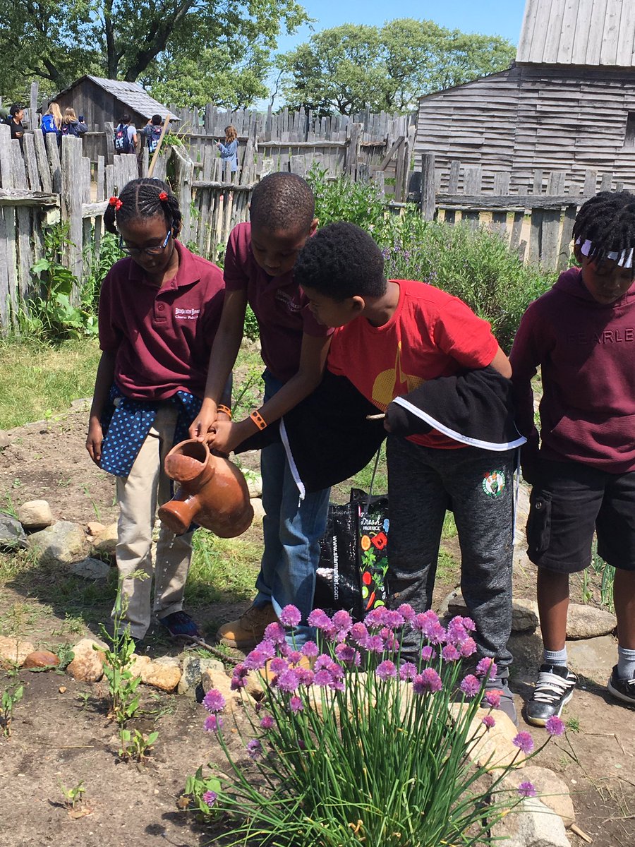 MissCytto tweet media