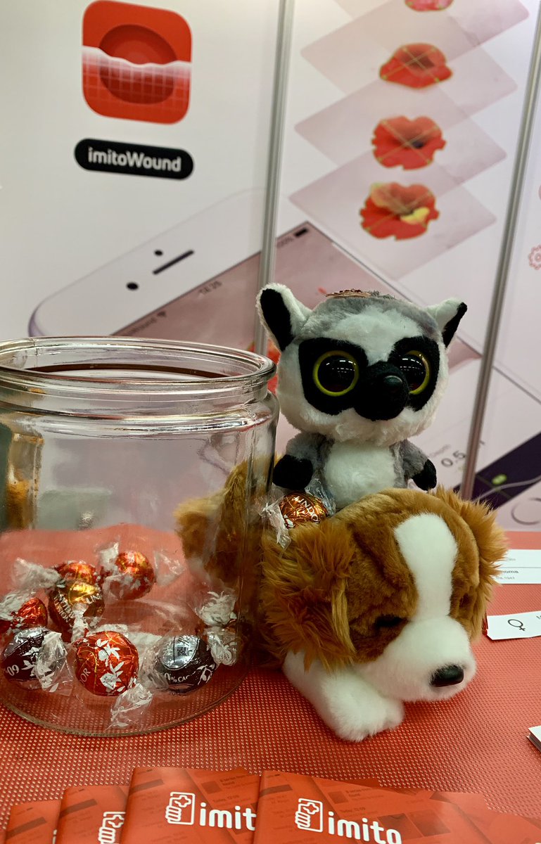 imito_ag's tweet photo. Our little lemur found a friend and the chocolate ๐ซ has almost been emptied. The team is ready to finish the 3 days at #EWMA2019 and pack up. Looking forward to next week in Helsinki at #himsseurope19!
#wounddocumentation #apps #hospitals #wound #imito https://t.co/vzUkNjnR3k