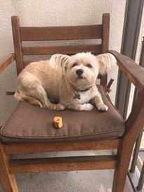 GAddney's tweet image. @CindyLe59944314