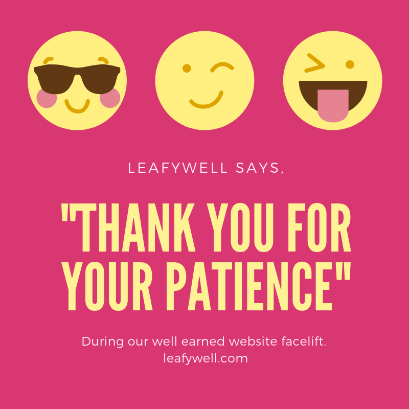 LeafyWellPets's tweet photo. When someone asks where you see yourself in 5 years... Buddy, I'm just trying to make it to Friday. - Oh that's right it is #Friday! As you know, our website is getting a face lift. 😯Stay tuned for the reveal😎#work #business #news #cbd #funny https://t.co/sNBzIbGkYy