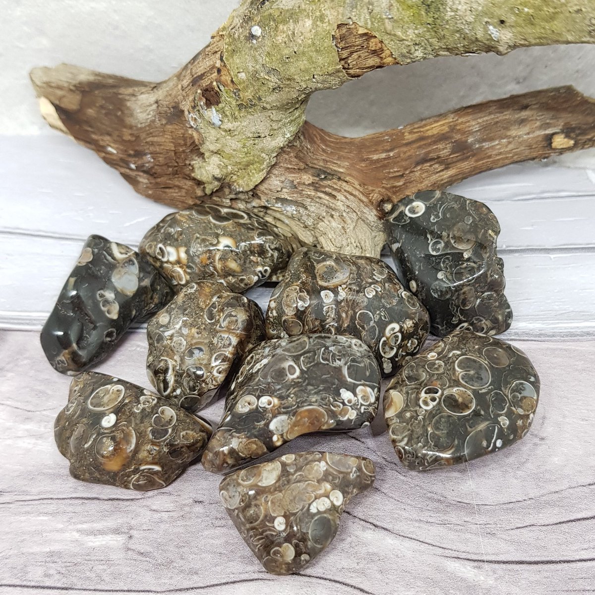 NamasteEmporium's tweet image. Turritella Agate is great for frequent #travelers. It can also boost #selfconfidence, #mentalfunction, #perception and support those with #hecticlives 🖤

etsy.com/uk/listing/712…

#healingcrystals #lovenature #lawofattraction #spiritualawakening #chakras #holistic #agate #reiki