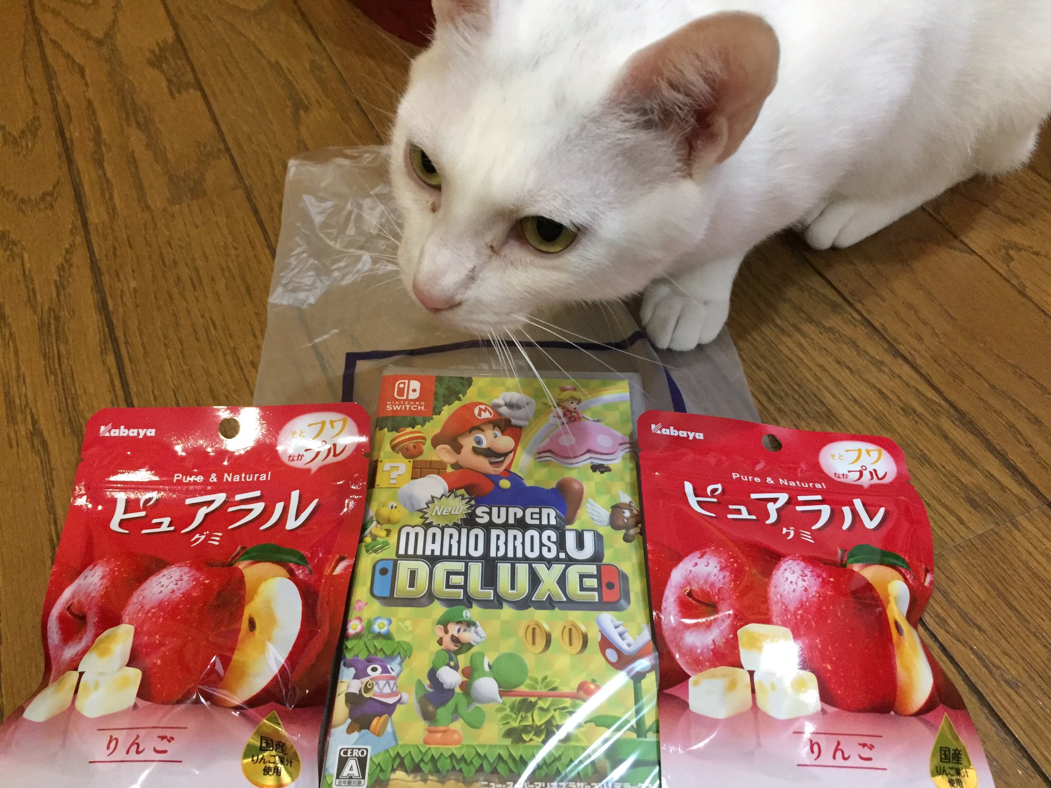 تويتر ぴよマール 0ac على تويتر 46歳の母がゲームしたい言うから 新品のマリブラuデラックス買った 猫 ねこ ネコ 猫愛好家 猫好き ねこ好き ネコ好き 雑種 猫のいる暮らし 白猫 猫の写真へたくそ選手権 はる ホワイト 猫 تويتر ぴよマール 0ac على تويتر 46歳の母がゲームしたい言うから 新品のマリブラuデラックス買った 猫 ねこ ネコ 猫愛好家 猫好き ねこ好き ネコ好き 雑種 猫のいる暮らし 白猫 猫の写真へたくそ選手権 はる ホワイト 猫