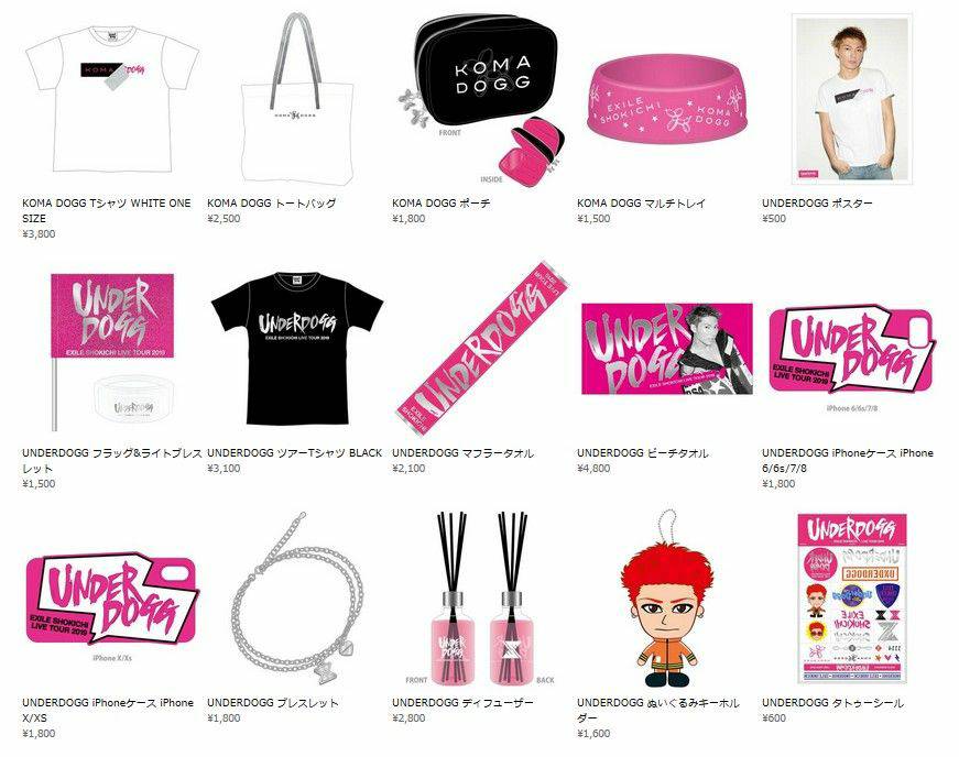 明日】6/8土 正午～販売 EXILE SHOKICHI LIVE TOUR 2019 “UNDERDOGG