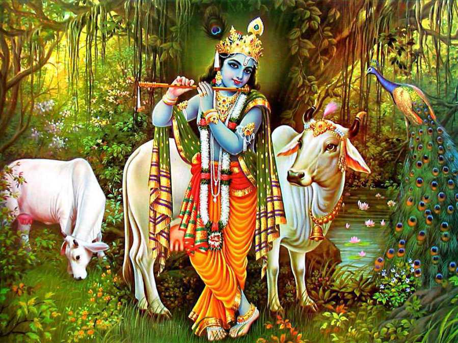 Since Vedic age Hindus have considered Cows sacred. Killing of cow was prohibited and strictest form of punishment was laid out for anyone who dares to break this norm.Cows were associated with many of the Hindu Gods. Bhagwaan Shri Krishna spent his childhood as cowherd.