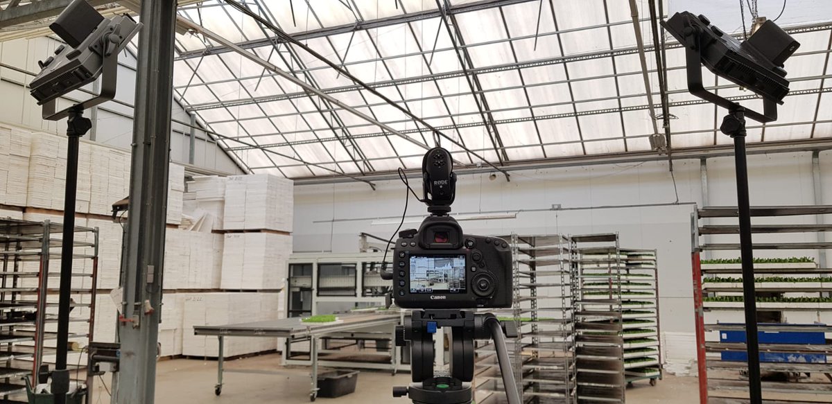 Even in een kas een HR-video schieten voor <a href="/_Florensis/">Florensis</a>. Kom jij hun team versterken? Check binnenkort de video :)