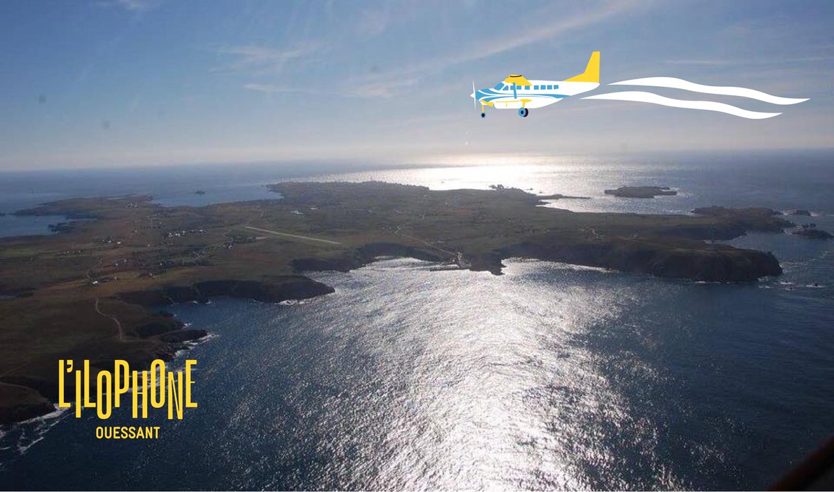 Festival Ilophone tweet media