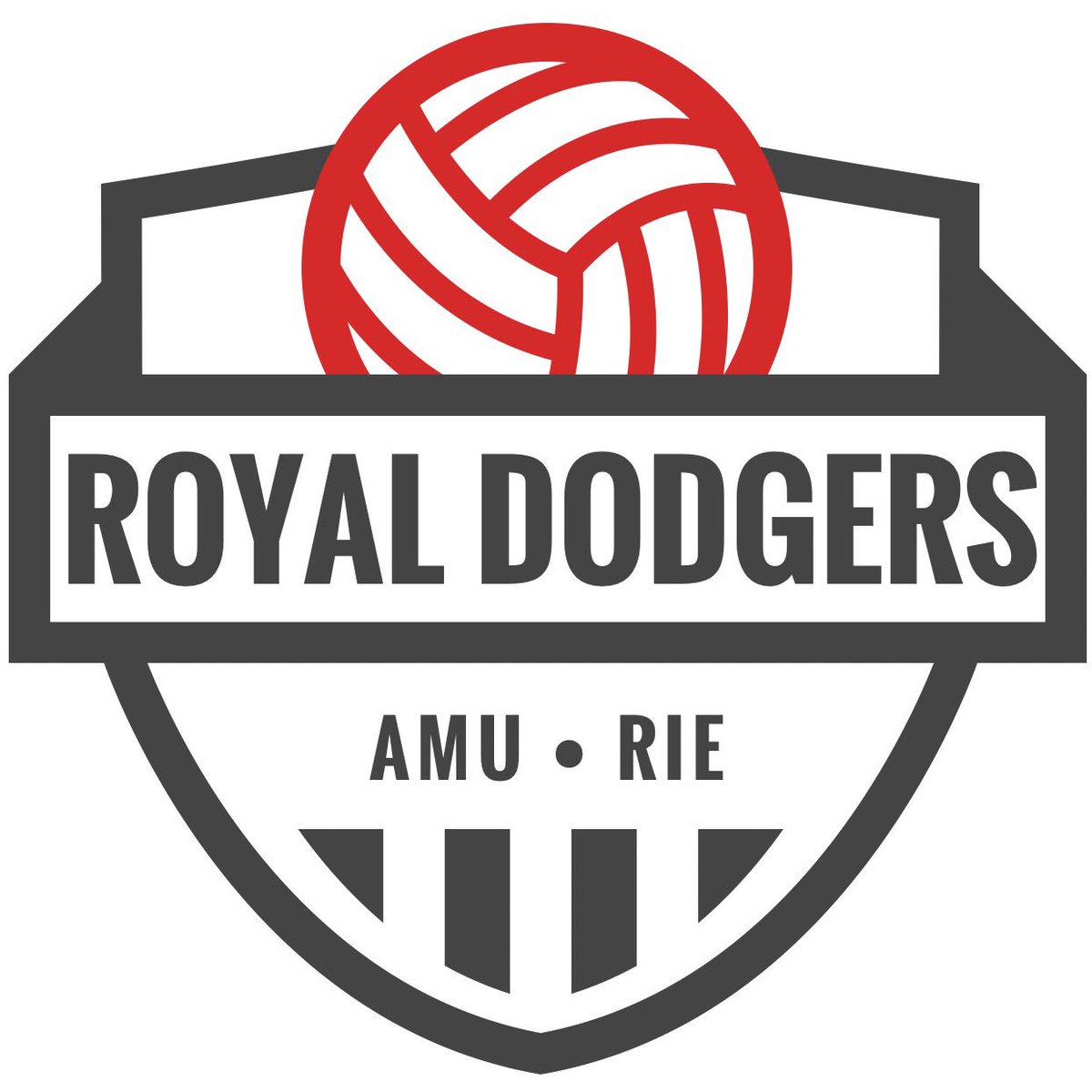 Introducing the dodgeball team to rival all others, the Royal Dodgers!! We play to win!! @AcuteRie @StJohns_ED @jenwatters74 #dodgeball #sports #healthcare #teambuilding #nhs