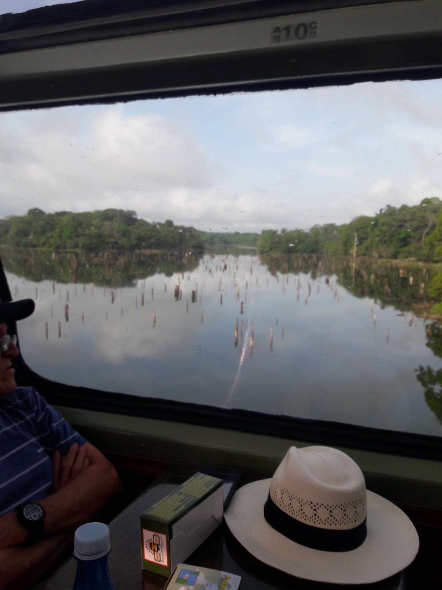 Richard68584643's tweet photo. Los niveles de agua de Lago Gatun, Canal de Panama; todavia estan muy bajo.. se ve le bosque sumerjido mas de 100 años ,historico . https://t.co/vv8EHo1MbY