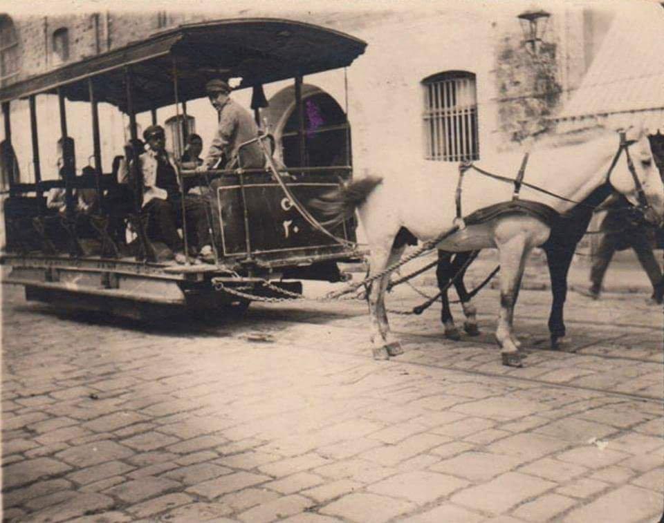 tariharsivi's tweet photo. Tramvayları çeken 430 at Balkan Savaşı sebebiyle 1912'de askere alınır. İstanbul 1,5 yıl tramvaysız kalır. https://t.co/UOWoMjDLKh