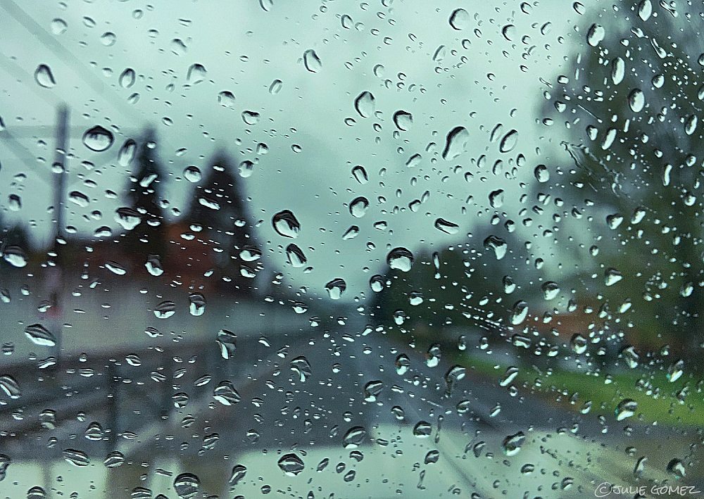 naturechronicle's tweet photo. commuter train passes
in the rain
we cross the tracks
#haiku #weather #rain #MaxLightRail #urbantransit #iphoneography https://t.co/fO2qv8HMv9