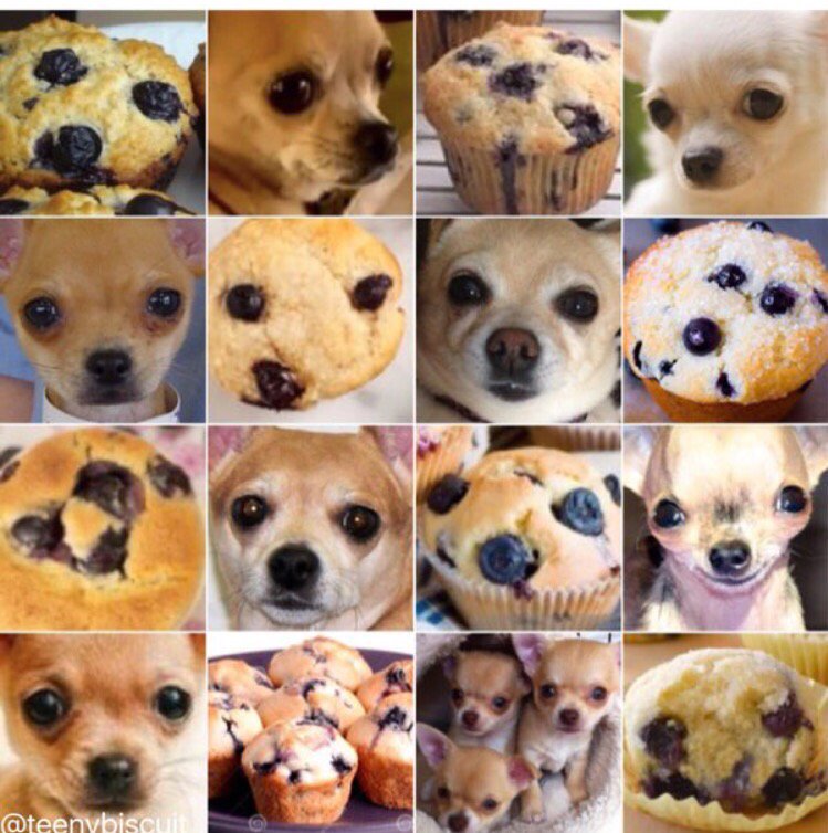 itsfarwa's tweet image. &quot;Building products in AI involves a constant cycle of content &amp;amp; curation, training the system, and ethical management. Systems need human oversight.&quot; - @carologic #UXRConf @UXRCollective Dog or muffin?
