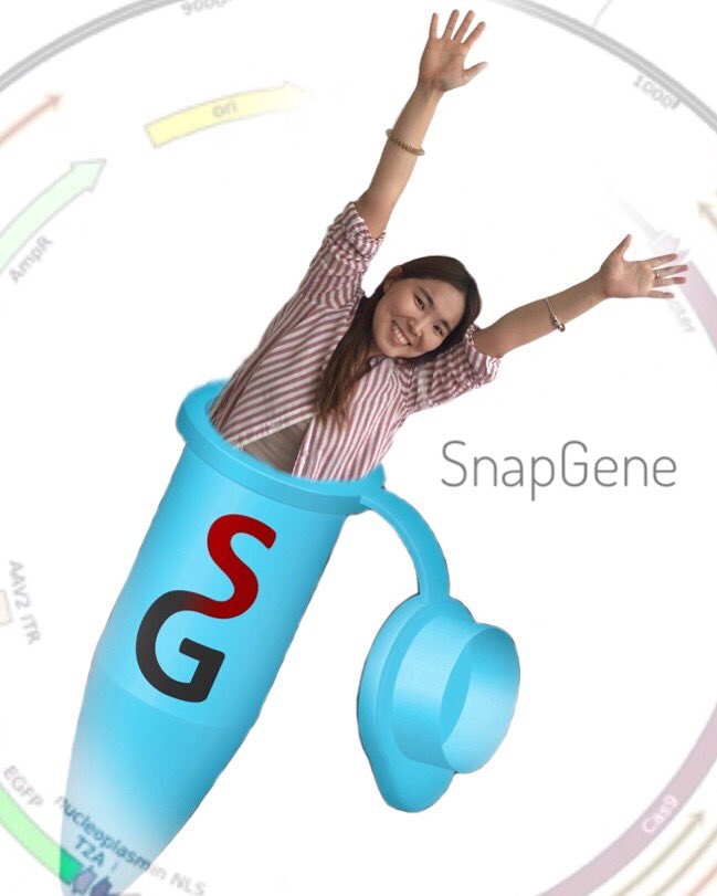 igemTUDY's tweet photo. Another day - another...cloning🧬We are so lucky to have SnapGene as our sponsor! Thank you for providing our team with such an amazing software🤩
⠀
Thank you! https://t.co/tWU9emDFjy

#snapgene #tudresden #igem2019
@CRTDpress @BIOTEC_TUD @BCUBE_TUDresden https://t.co/CvEKpMRM7q