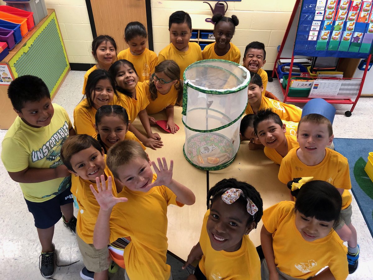 KellyBrinton's tweet photo. 7 butterflies! Wow! ⁦@rbpsEAGLES⁩ #RBBisBIA https://t.co/HR6CebhCmN