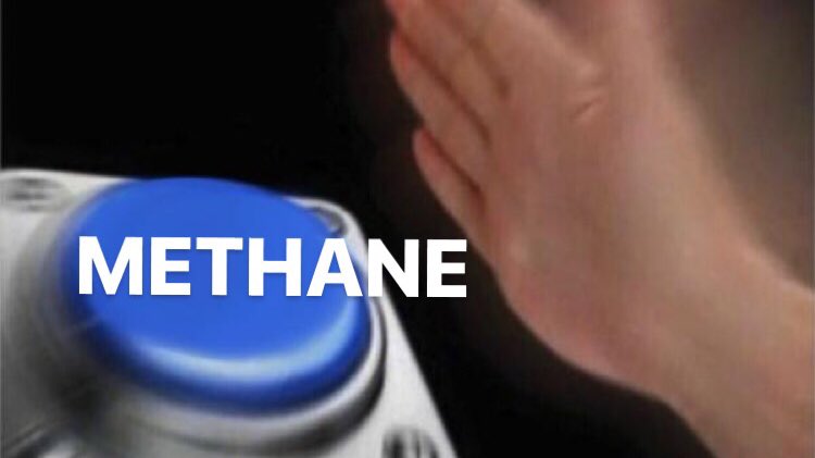 eloisedeex's tweet photo. ‘name one other greenhouse gas’ 
literally the whole country: #GCSEs19 #aqabiology #gcsebiology https://t.co/omZh0ppeja