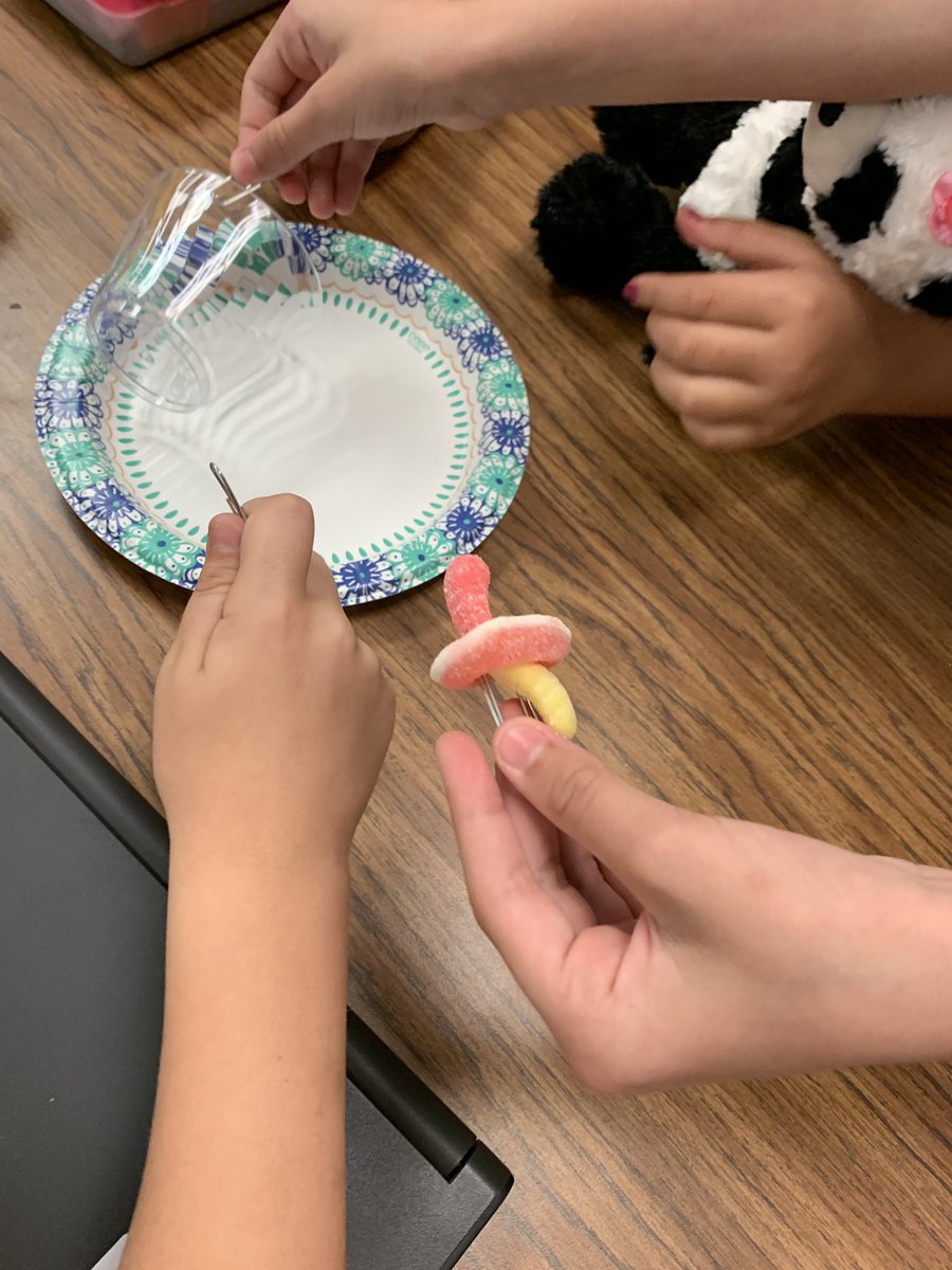 PaulaRay74's tweet image. More perseverance and team work! Fun!  @MangumExplorers #WeAreDPS