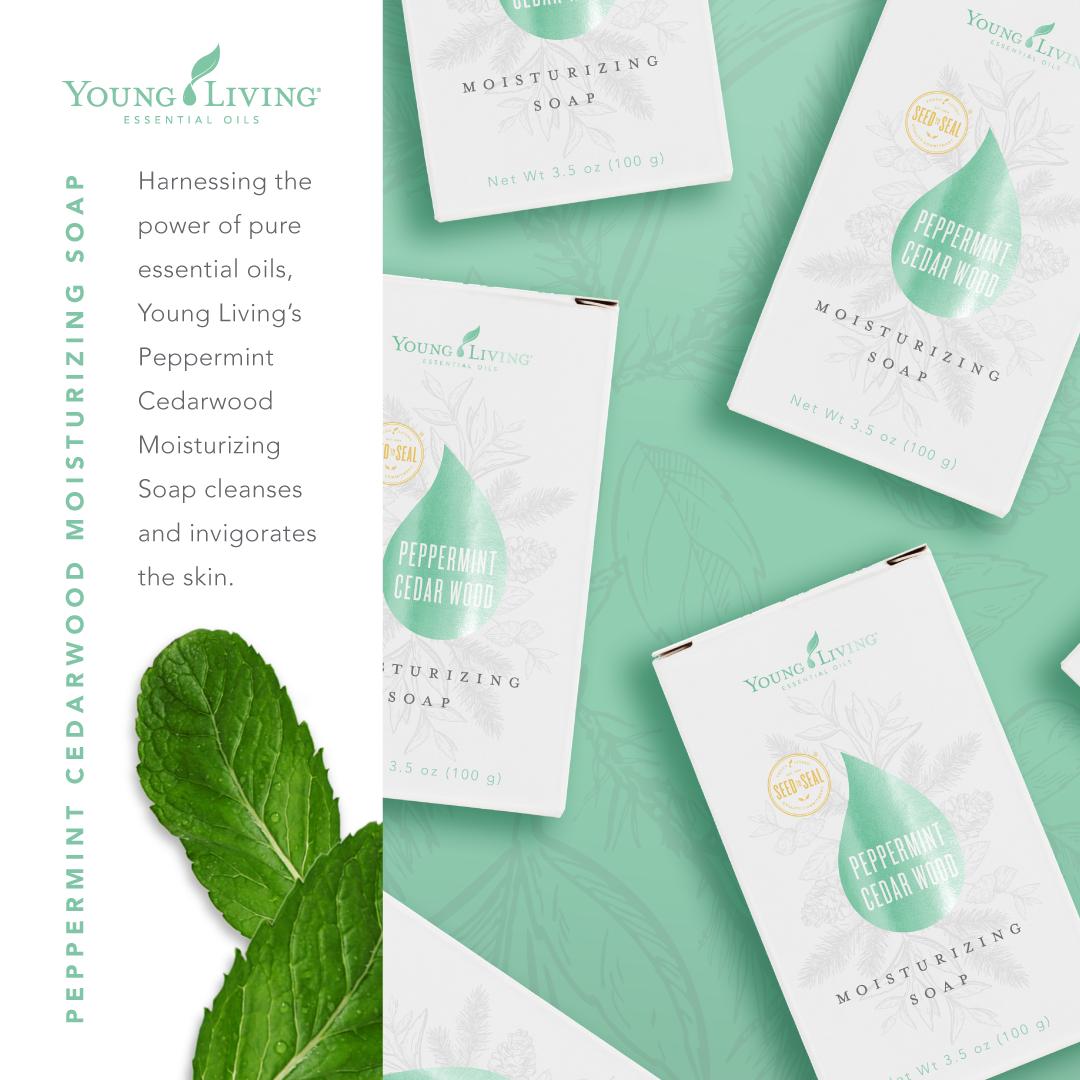 youngliving's tweet photo. Have you tried our #Peppermint Cedarwood Bar Soap yet? 🛁 It's a must have for summer. Make sure and get yours today https://t.co/5Y3lJJzLem #yleo https://t.co/JMppCOcGiy