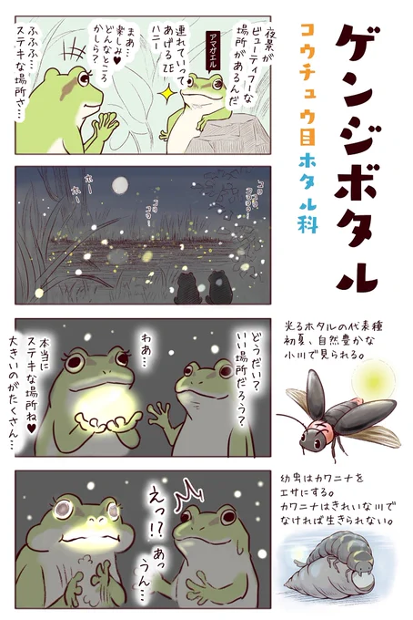 わいるどらいふっ!第136～137種
初夏の風物詩と弱肉強食 
