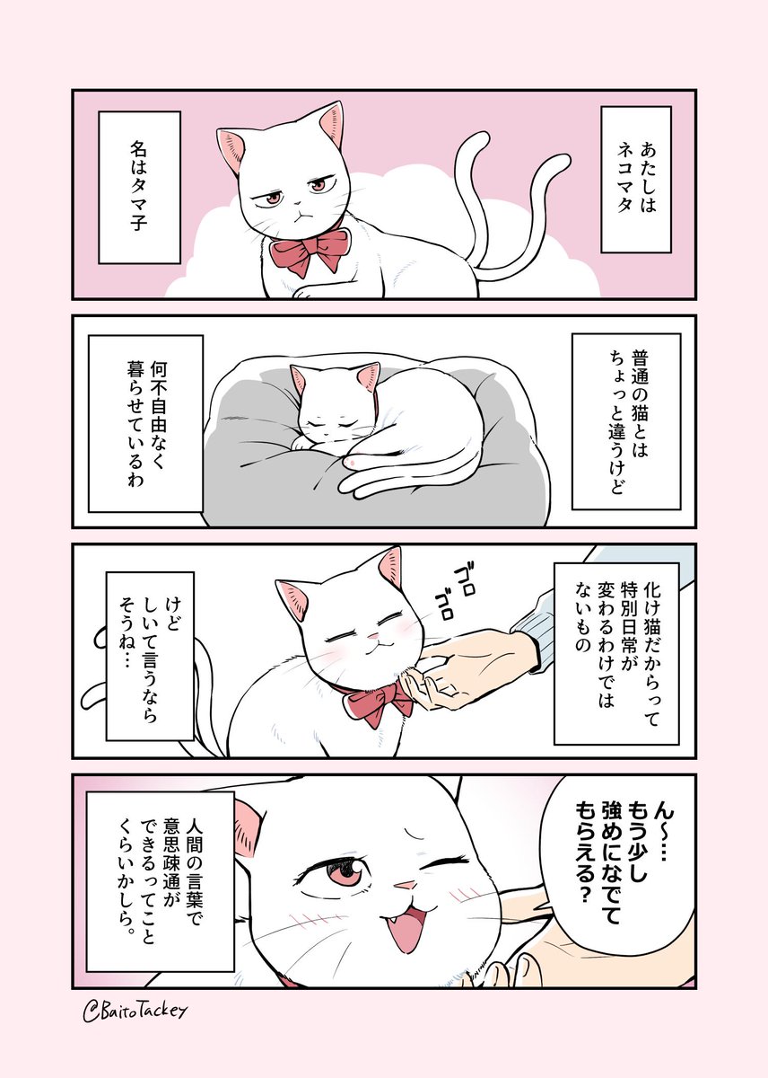 人に飼われてるネコマタの話

＃創作漫画 ＃猫漫画 