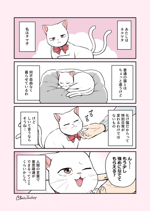 人に飼われてるネコマタの話

＃創作漫画 ＃猫漫画 