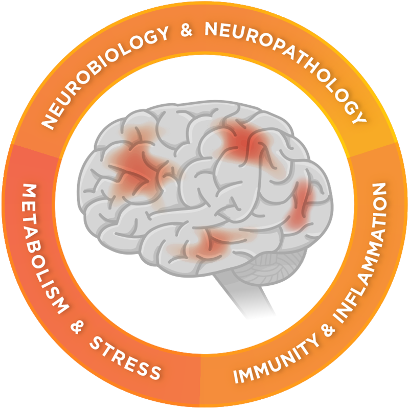 Interna81585298's tweet photo. https://t.co/GqMBwuiQbs
A new imaging study identifies the role of neuro inflammation in migraine with aura. #immunotherapy #cancertherapy2019 #kualalumpur #malaysia https://t.co/4qbcAd7o6P