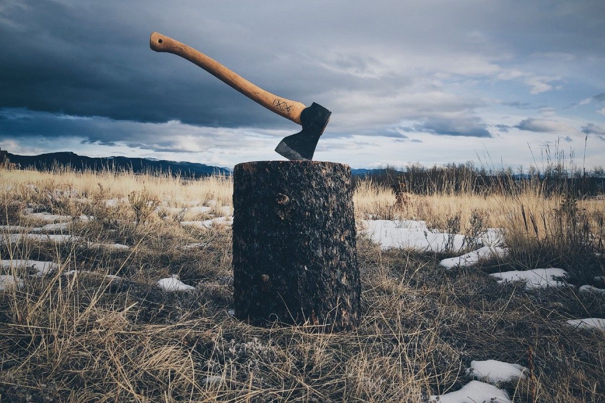 SavePotatoesCom's tweet photo. If you need to get out into nature in the afternoons to be more creative — stop checking to see if the competition’s shoes are still by the door. https://t.co/fs5QznwJzc https://t.co/hY6Qjq9Yqs