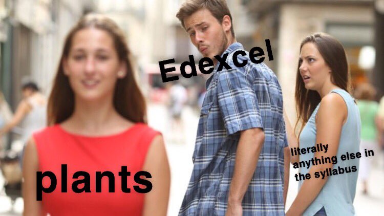 bubblegumdumtum's tweet image. edexcel really out here just obsessing over fucking plants #igcse2019 #edexcelbiology #igcsebiology