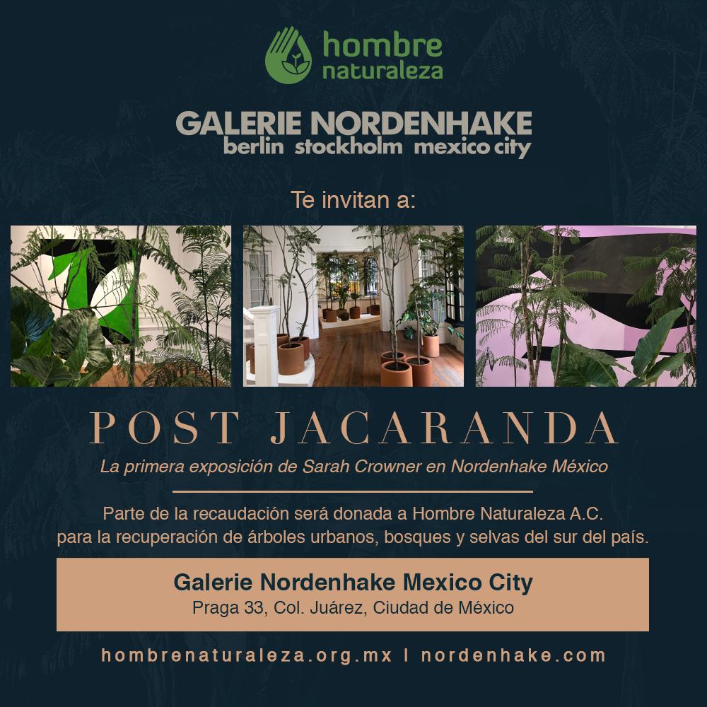 HNaturalezaMX's tweet photo. Los invitamos a visitar #PostJacaranda, la 1ª muestra de #SarahCrowner en #GalerieNordenhakeMéxico, de la que parte de la recaudación será donada a Hombre Naturaleza a través de sus programas de preservación y conservación. 🌱
¡Tienes hasta el 28 de junio para visitarla! 🌷 https://t.co/qEpkUdwkoe