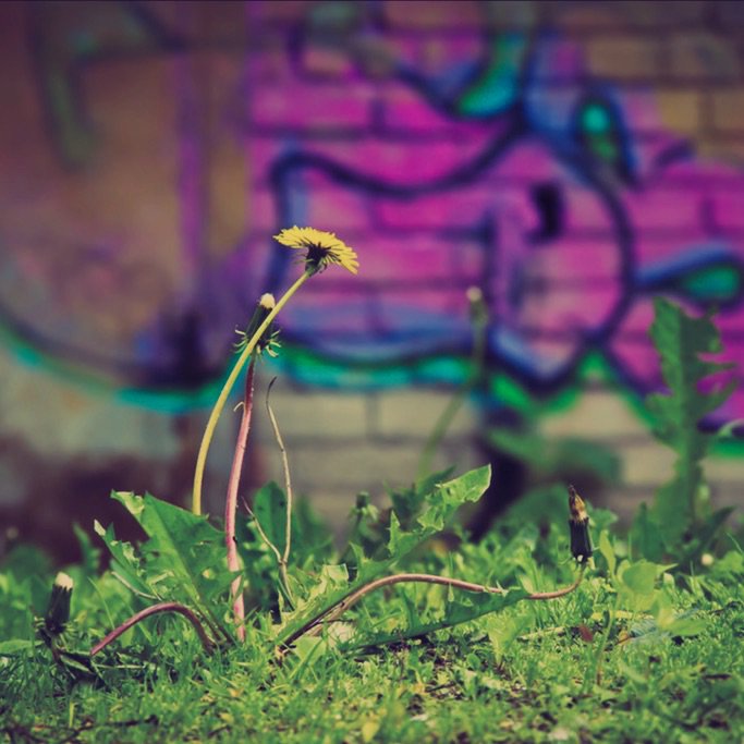 ‼ TONIGHT! Get tickets for LEFTOVERS opening before it's too late ‼ - mailchi.mp/1e1ac2facdd3/t…