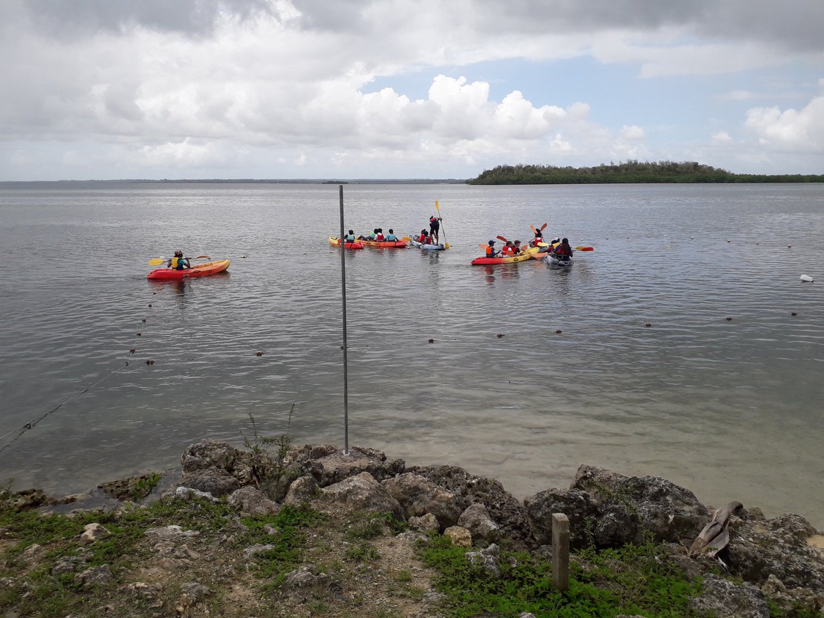 EcoleMathieu's tweet photo. Journée Canoë-Kayak à Morne-à-l'eau - Découverte de la Mangrove #Kayak #guadeloupe #school  #mer https://t.co/JDCsFiZ99j