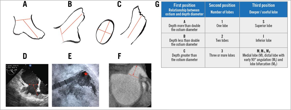 EuroIntervention tweet media