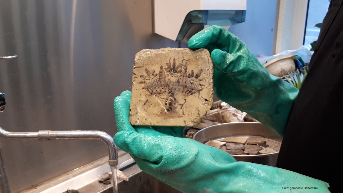 Onze #archeologen onderzochten de bouwput van de #CoolTower met als meest in het oogspringende vondst een grote hoeveelheid zgn #biscuittegels van een tegelbakkerij die zat tussen Schiedamsedijk en Leuvehaven. ad.nl/rotterdam/bouw…