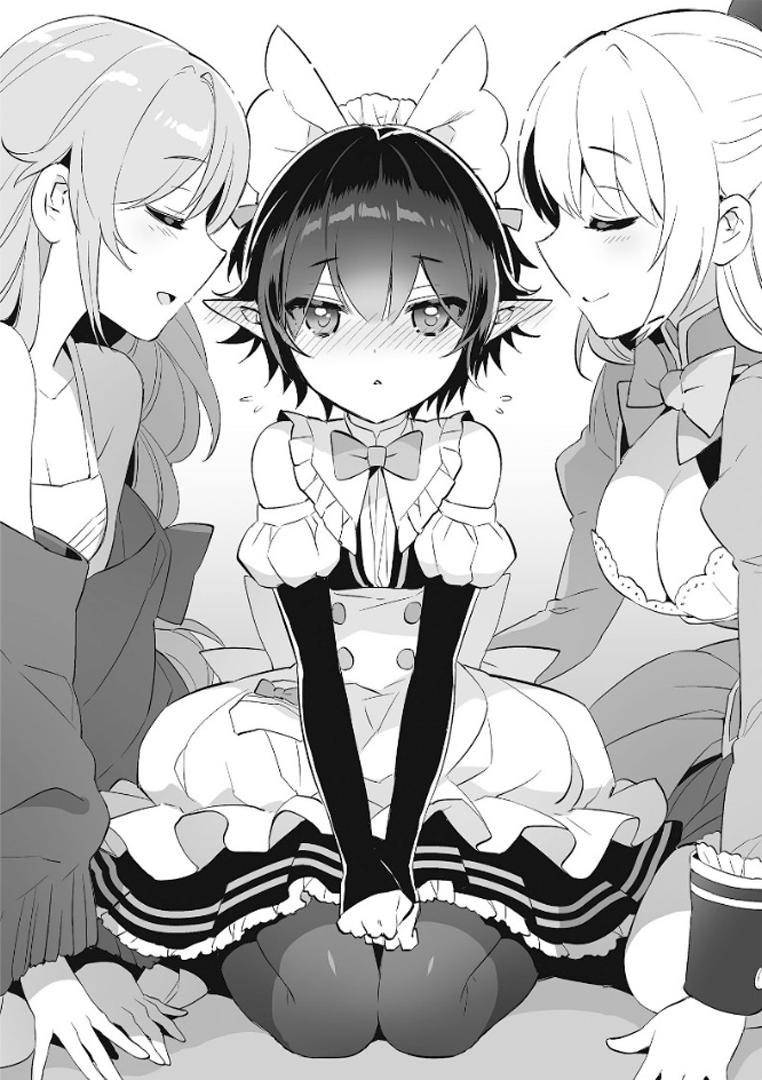 Megami ni Damasareta Ore no Isekai Harem Seikatsu (Light Novel) Manga