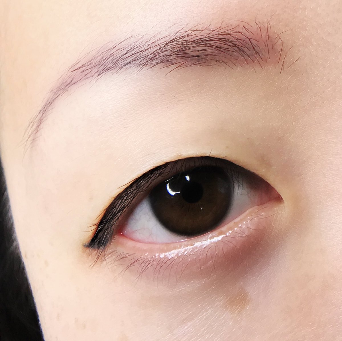 bylashmia's tweet photo. #lashgoals https://t.co/cvbydiTUJc