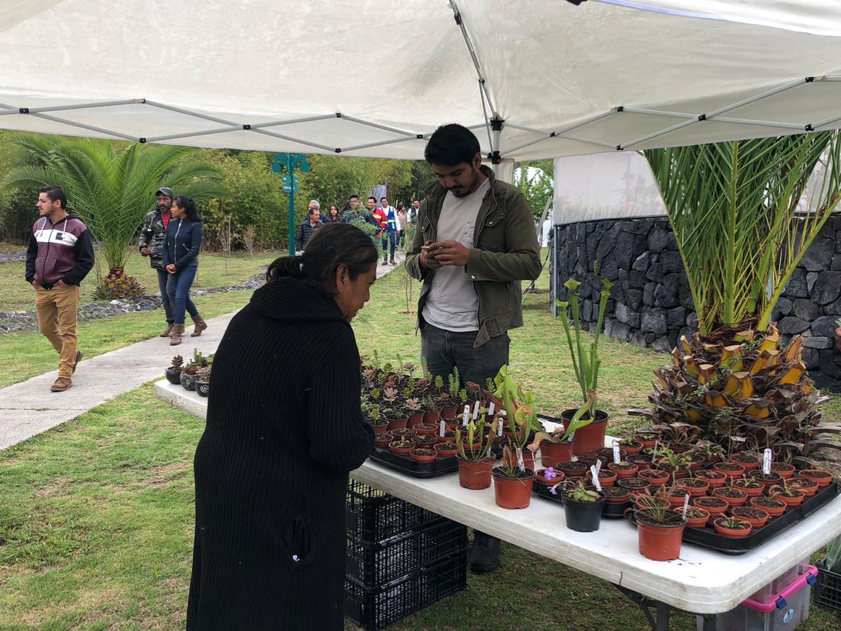 ADiezUrdanivia's tweet photo. Asiste este fin de semana en familia a la #FeriaAmbientalPuebla en el Parque Metropolitano. 

Ponencias, reforestación, rodada ambiental, productores locales, expositores. https://t.co/VrSYEebVqU