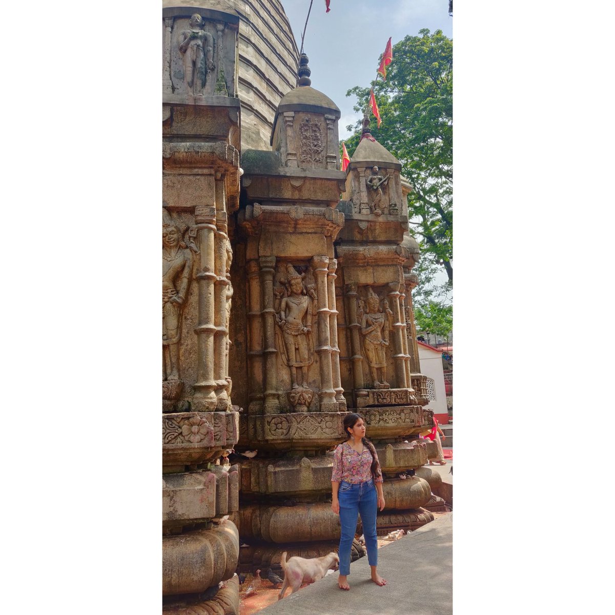 Kamakhya Temple #northeastdiaries #guwahati #assam #templediaries #india #kamakhyatemple #sati #shiv #incredibleindia #travelpages #northeastindia #temple #satishiv #kamakhyadevi #menstruation #periods #bleeding #love #travelgoals #travelling #chums #mythology #indianmythology