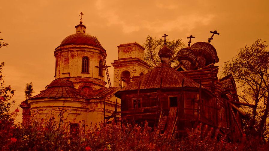 Scarabys Consulting tweet media