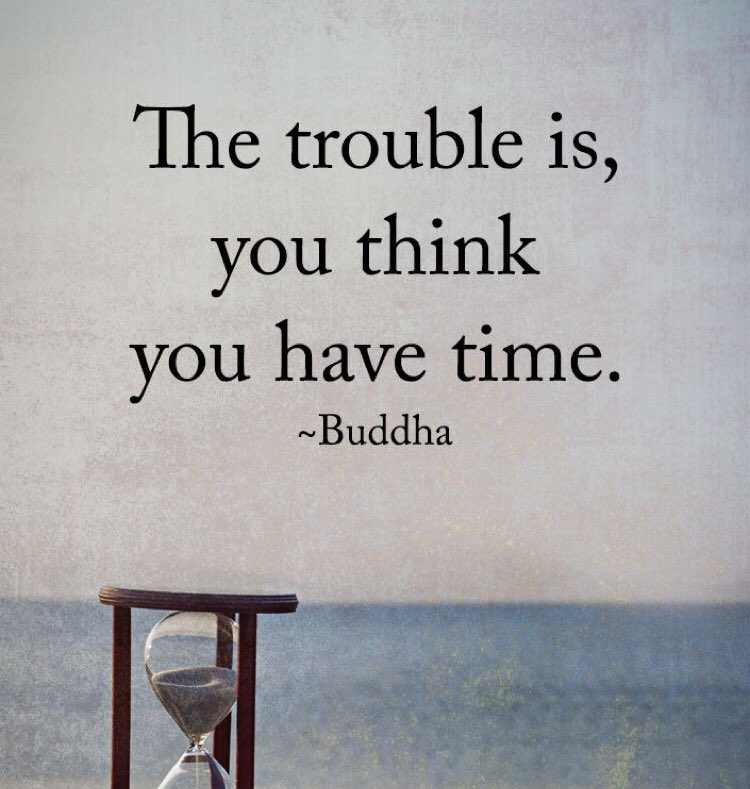 Fadzayi Mahere🇿🇼 tweet media