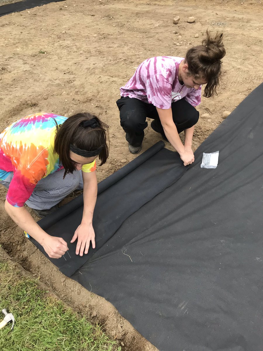 Old Colony Garden tweet media