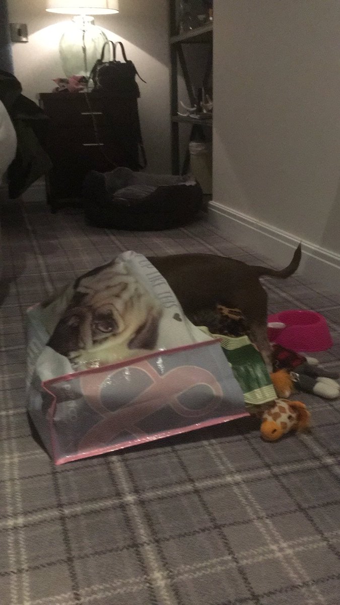 At last were here!!! Unpacking my case <a href="/PeakedgeHotel/">Peak Edge Hotel, Red Lion Pub and Restaurant</a> <a href="/The_RHS/">The RHS</a> lovely boutique hotel now to the pub !
