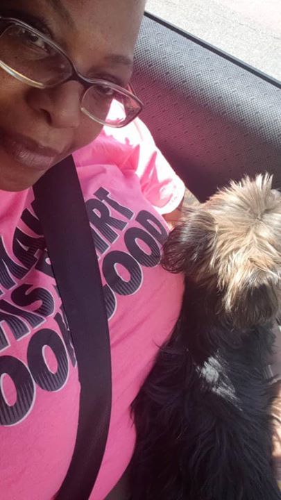 LostDogsIL's tweet photo. Home at last! Princess - Yorkshire Terrier Yorkie from #Chicago #IL is home safe & sound. Message: "A good samaritan named Ross saw her and called my number on the flyer!" Missing 06/02/2019. Reunited 06/07/2019. Welcome home Princess! #Flyerswork ***** Reunion photo***** https://t.co/lOivTOYOqR