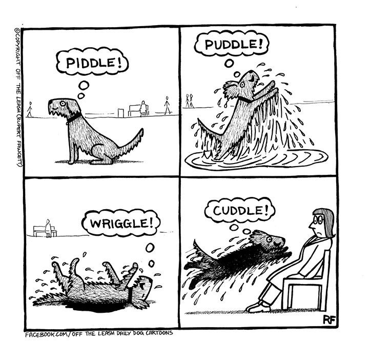 RupertFawcett's tweet photo. The Walk...
#dogwalking #walkingthedog #piddles #puddles #wriggles #cuddles #mud #dogs #dogcartoons #offtheleash #rupertfawcett https://t.co/EB5Yg3gH5i
