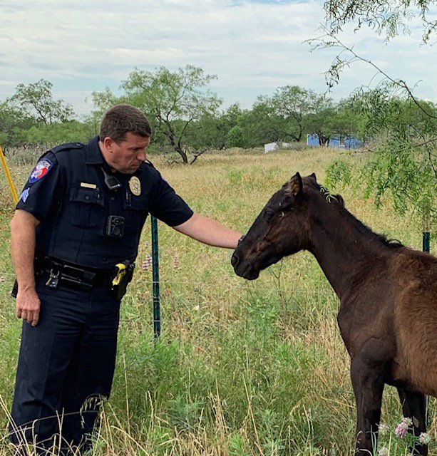 Joshua_PD's tweet photo. Sgt. Gelsthorpe (the horse whisperer) counsels pony about the perils of running away from home. https://t.co/kcfOUnmbkc