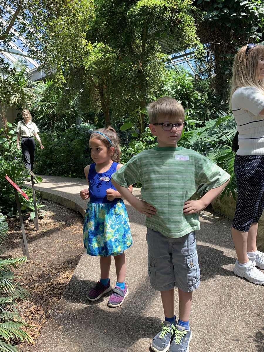 LauraLee's tweet photo. Kids are checking out the butterflies and standing still to get one to land on them! https://t.co/XBk8gAegl6