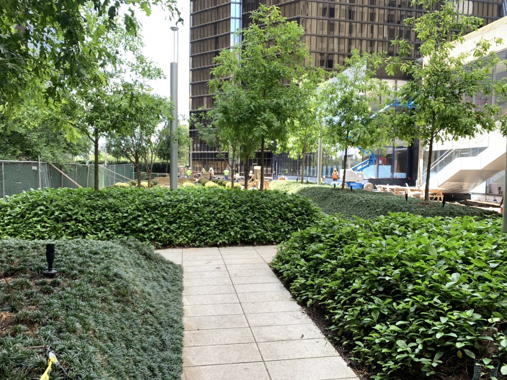 vdzassociates's tweet image. Allen plaza in @HoustonTX  beautiful public space by the office of James Burnett. #OJB very comfortable, inviting and fascinating at street level. #designthinking #houstondesign
