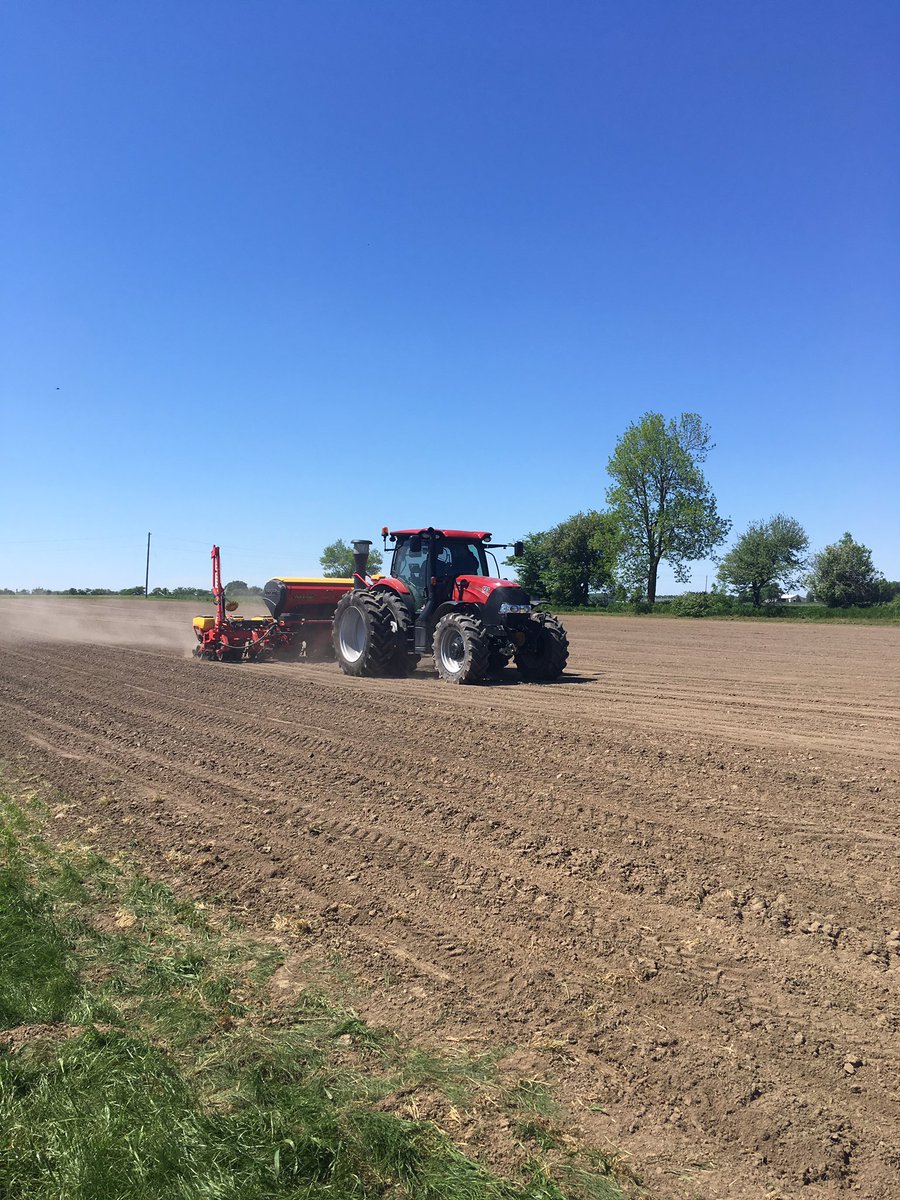 Kelsey Banks (@kelseybanks) on Twitter photo Finishing off planting the Drayton plots today with <a href="/DEKALB_Canada/">DEKALB Canada</a> <a href="/CROPLANseed/">CROPLAN_North</a> corn and edible bean varieties! <a href="/HDCAgronomy/">Hensall Co-op Agronomy</a> #ontag Finishing off planting the Drayton plots today with <a href="/DEKALB_Canada/">DEKALB Canada</a> <a href="/CROPLANseed/">CROPLAN_North</a> corn and edible bean varieties! <a href="/HDCAgronomy/">Hensall Co-op Agronomy</a> #ontag