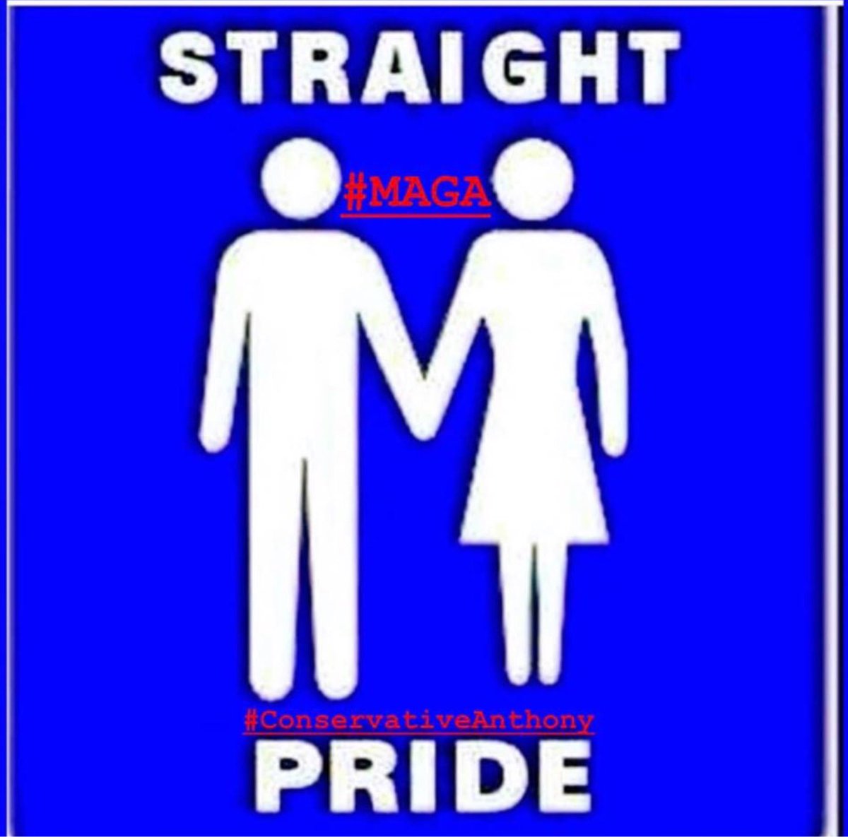 Dog18Big's tweet photo. Straight Pride #MAGA https://t.co/RfMSkg9zpy