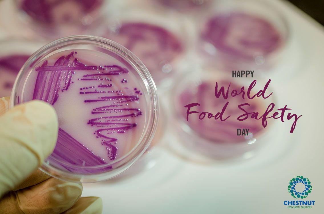 ChestnutLabs tweet picture