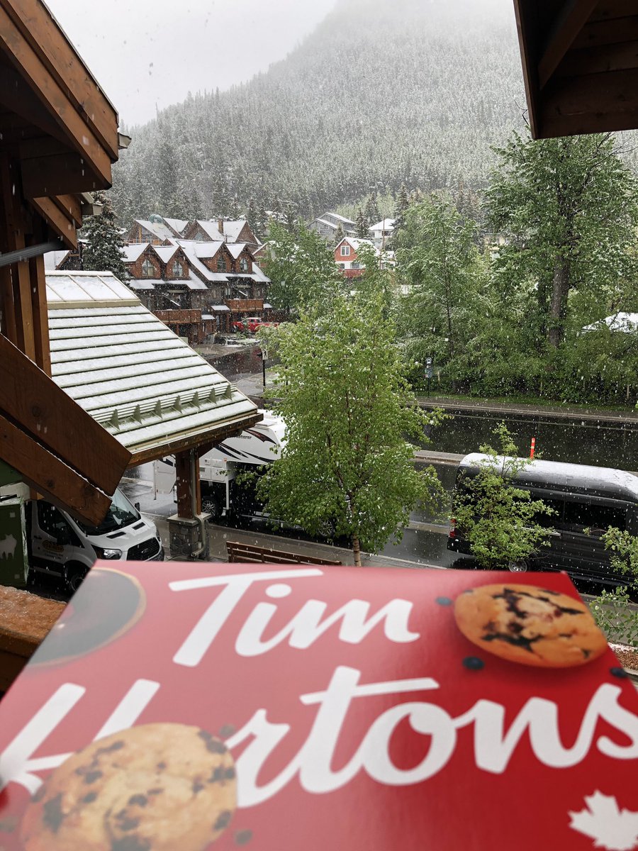 PounceyFan's tweet photo. @GolicAndWingo Celebrating in snowy Banff Canada with Tim Horton donuts! #NationalDoughnutDay https://t.co/VRxHfgkAEF