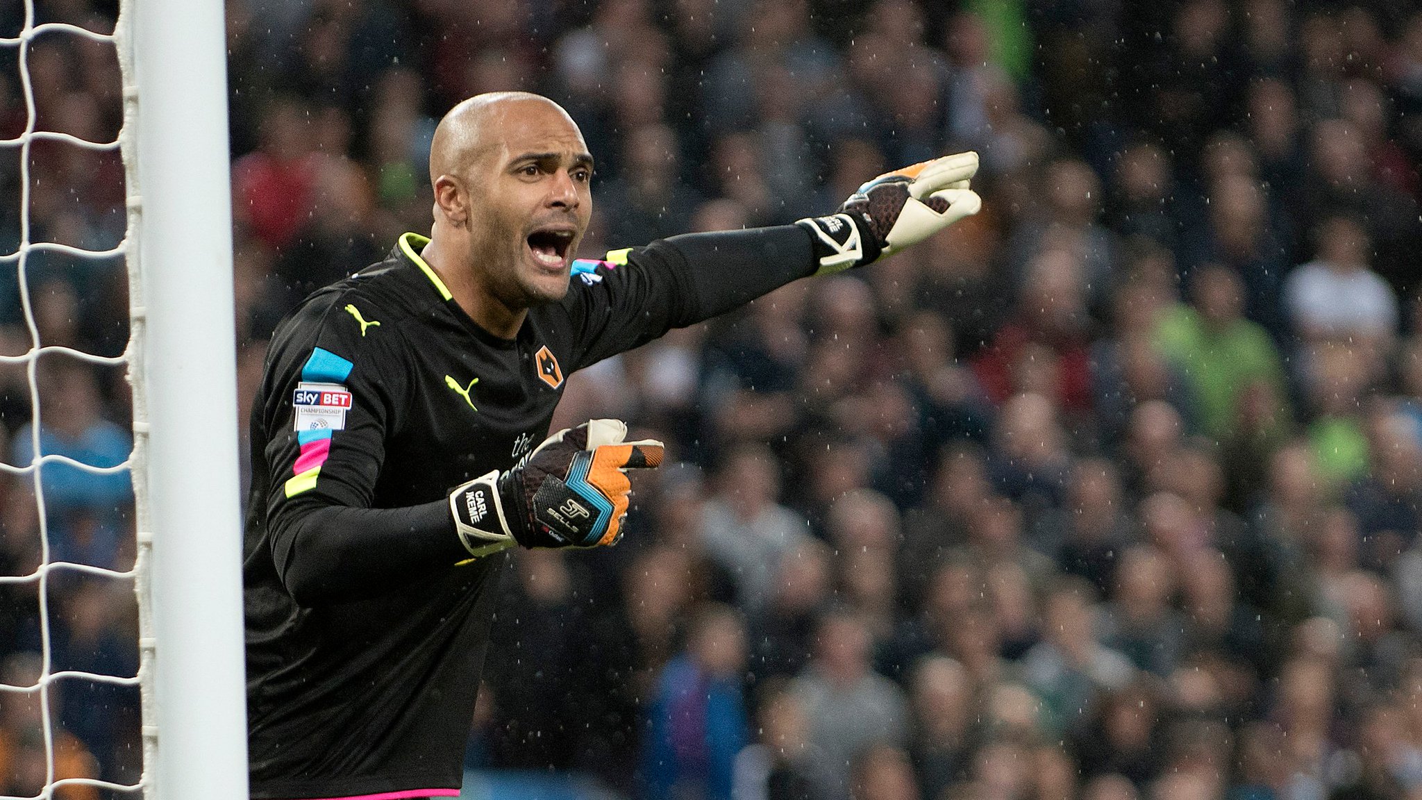 A very happy birthday to the Wolves number ! The legend that is Carl_Ikeme turns 33 today, have a great day! 